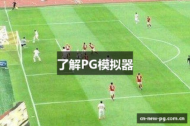 了解PG模拟器